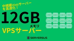【2025年版】「12GBメモリ」のVPSサービスを徹底比較！ベストはこれだ！